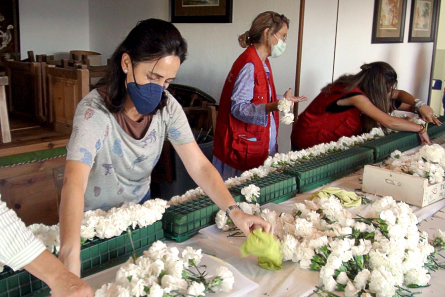 Voluntarias-1