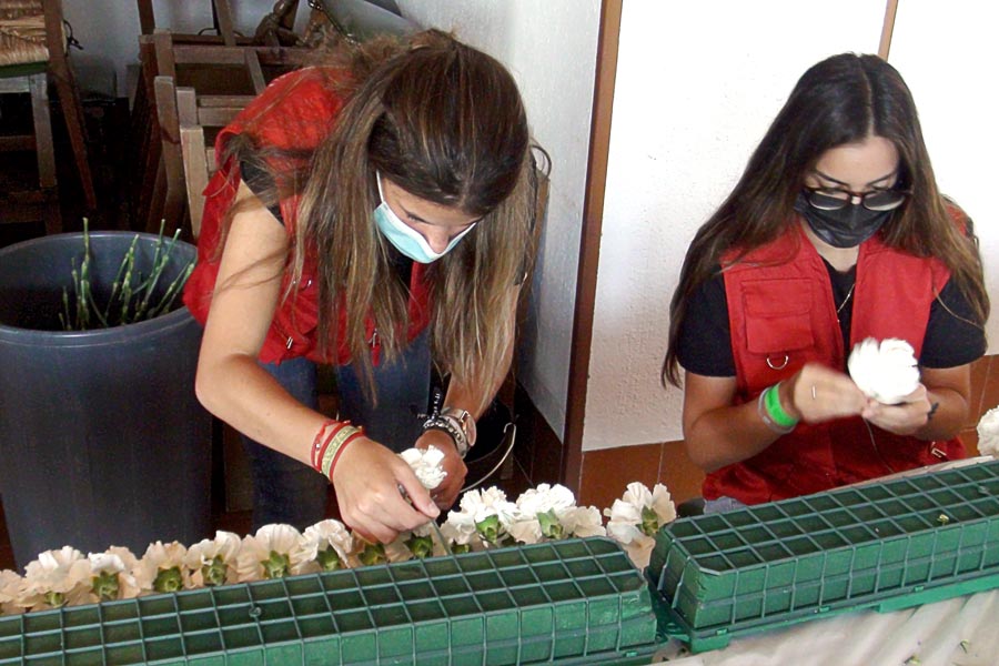 Voluntarias-2